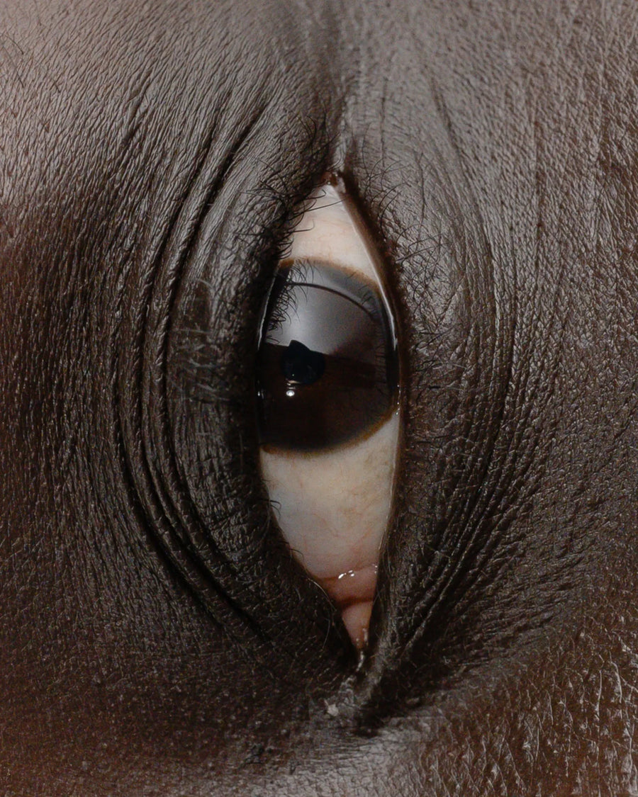 Campaign image